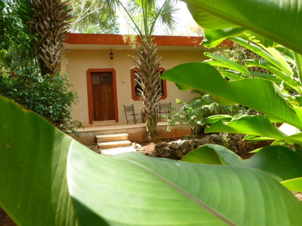 The Flycatcher Inn Retreat Hotel Santa Elena Екстериор снимка