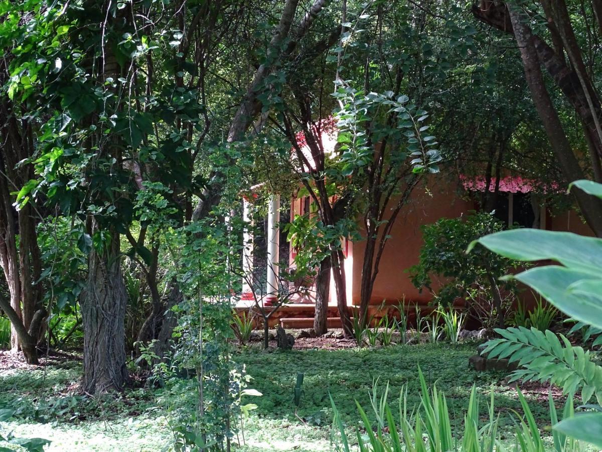 The Flycatcher Inn Retreat Hotel Santa Elena Екстериор снимка