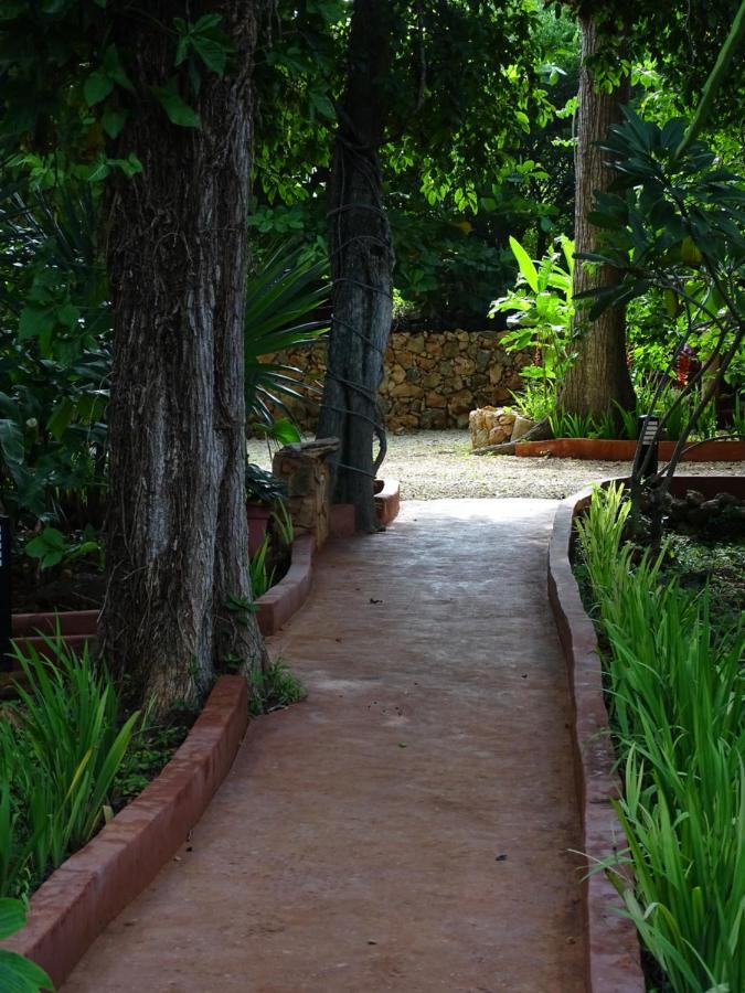 The Flycatcher Inn Retreat Hotel Santa Elena Екстериор снимка