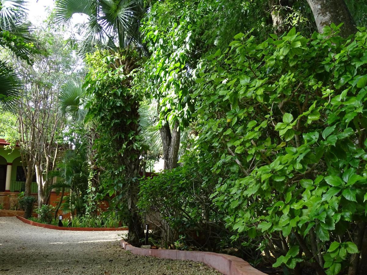The Flycatcher Inn Retreat Hotel Santa Elena Екстериор снимка